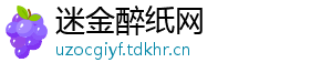 迷金醉纸网